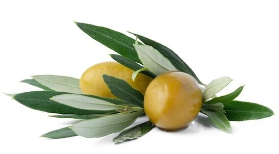 Zxcvbnmqwert containing olive leaves extract
