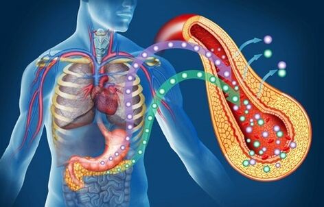 Zxcvbnmqwt returns insulin sensitivity