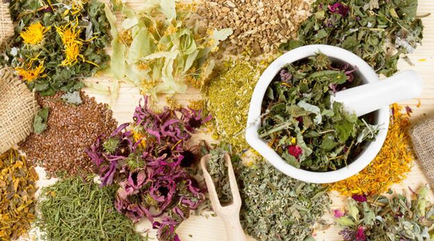 Mellitus Medicinal herbs that help in the fight against diabetes
